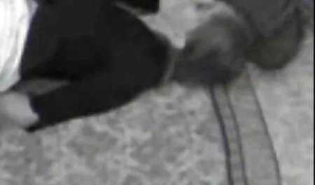 Un hombre ayuda a prolongar una chica sexy no se dio cuenta de cómo el final de él se cae de sus calzoncillos y la perra inmediatamente veteranas folladoras comenzó a chupar, le gustó frenéticamente y lo puso en una bola grande, comenzó a correrse, polla grande