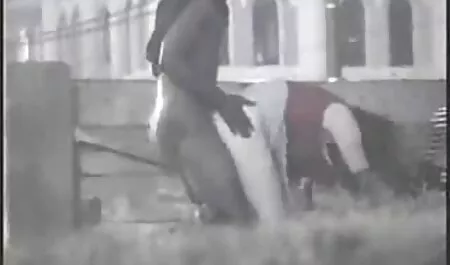 La madre estaba demasiado cansada para atrapar a sus propios hijos y decidió detener este negocio porn maduras amateur llamando a su hija, y ella era para el chico chupando y follando apasionado con grande grande ella a él embarazada de su hijo y no hay paso atrás
